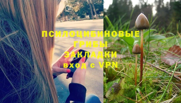 твердый Аркадак