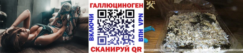Галлюциногенные грибы Cubensis  omg вход  Волгоград  магазин продажи  